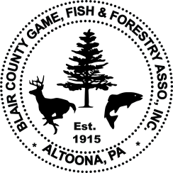 bcgffa-main-print-logo