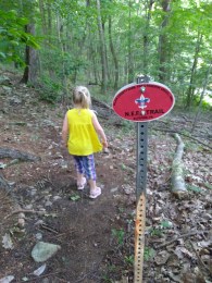 IMG_20170629_191838017